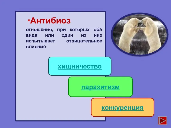 Антибиоз хищничество паразитизм конкуренция отношения, при которых оба вида или один из них испытывает отрицательное влияние.