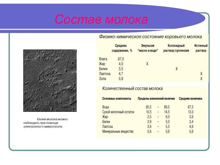 Состав молока