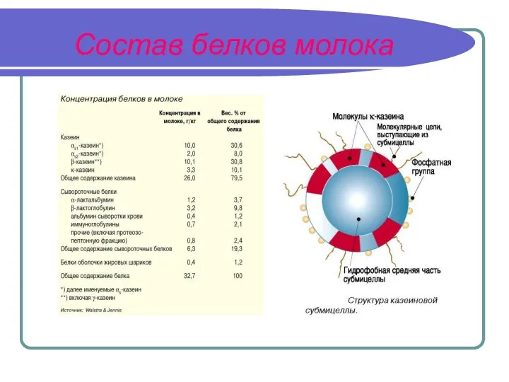 Состав белков молока
