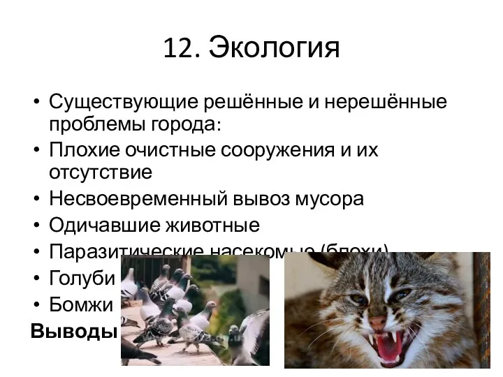 12. Экология Существующие решённые и нерешённые проблемы города: Плохие очистные