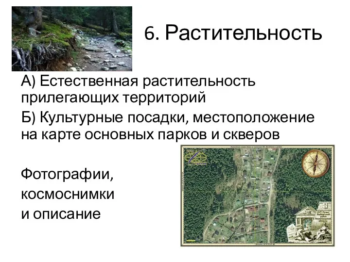 6. Растительность А) Естественная растительность прилегающих территорий Б) Культурные посадки,