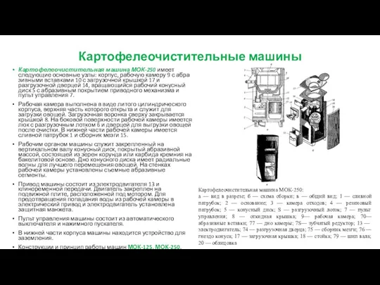 Картофелеочистительные машины Картофелеочистительная машина МОК-250 име­ет следующие основные узлы: корпус,