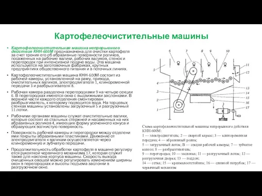 Картофелеочистительные машины Картофелеочистительная машина непрерывного действия КНН-600М предназначена для очистки