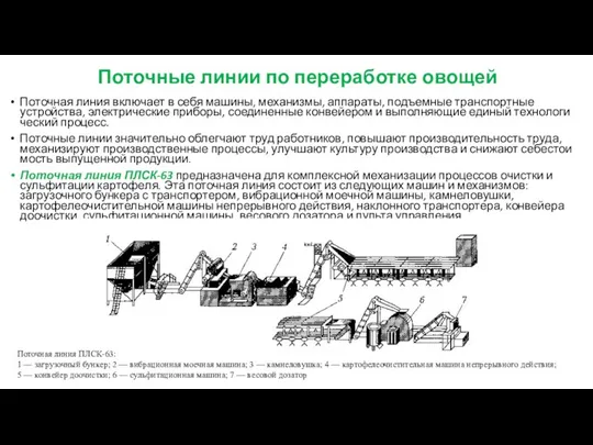 Поточные линии по переработке овощей Поточная линия включает в себя