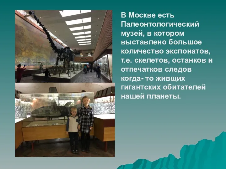 В Москве есть Палеонтологический музей, в котором выставлено большое количество экспонатов, т.е. скелетов,