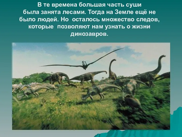 В те времена большая часть суши была занята лесами. Тогда на Земле ещё