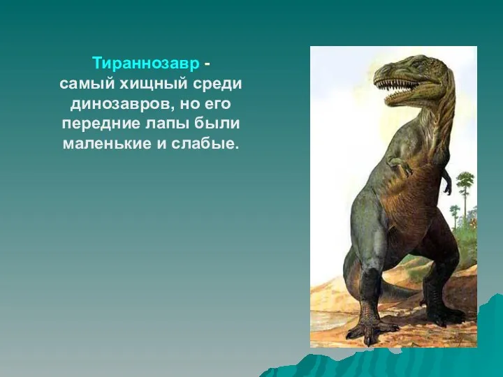 Тираннозавр - самый хищный среди динозавров, но его передние лапы были маленькие и слабые.