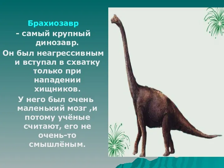 Брахиозавр - самый крупный динозавр. Он был неагрессивным и вступал