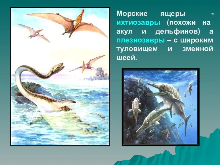 Морские ящеры - ихтиозавры (похожи на акул и дельфинов) а