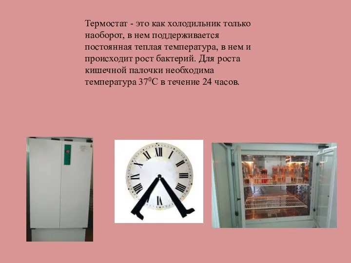 Термостат - это как холодильник только наоборот, в нем поддерживается постоянная теплая температура,