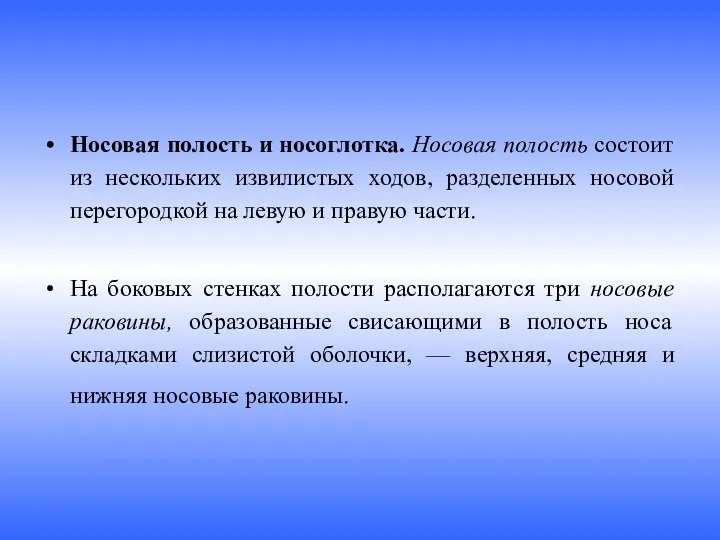 Носовая полость и носоглотка. Носовая полость состоит из нескольких извилистых