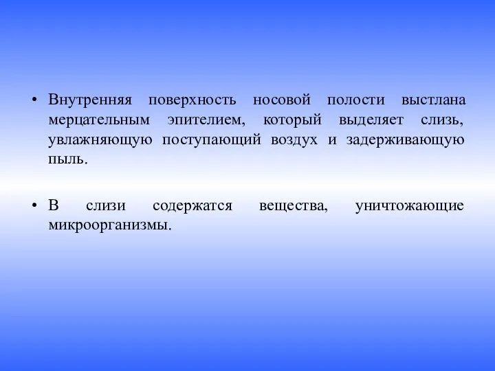 Внутренняя поверхность носовой полости выстлана мерцательным эпителием, который выделяет слизь,