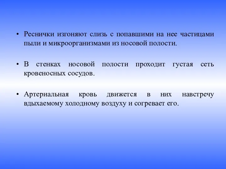 Реснички изгоняют слизь с попавшими на нее частицами пыли и