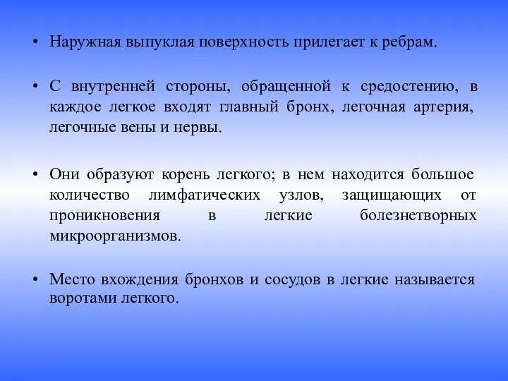 Наружная выпуклая поверхность прилегает к ребрам. С внутренней стороны, обращенной