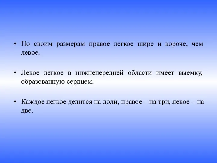 По своим размерам правое легкое шире и короче, чем левое.