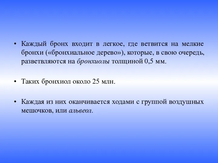 Каждый бронх входит в легкое, где ветвится на мелкие бронхи