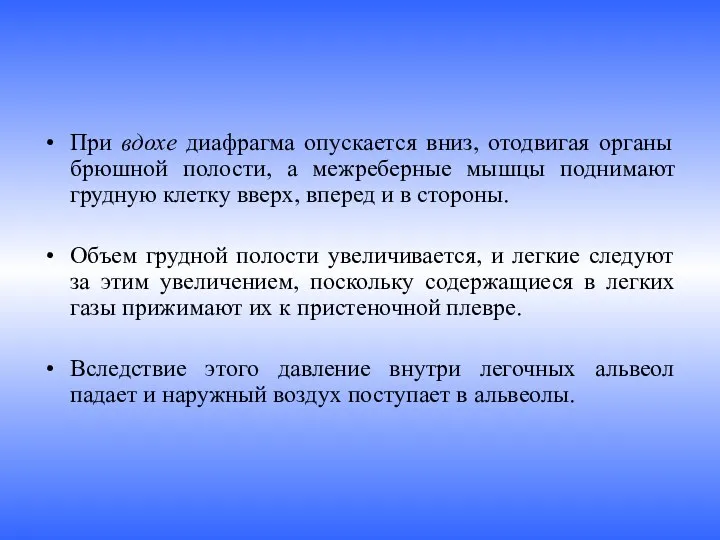 При вдохе диафрагма опускается вниз, отодвигая органы брюшной полости, а