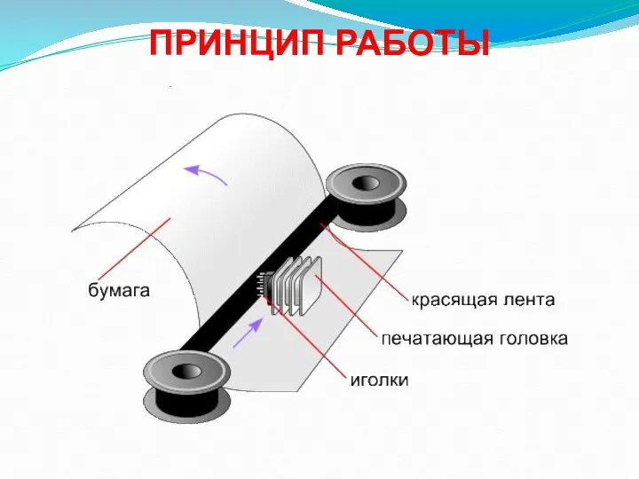 ПРИНЦИП РАБОТЫ