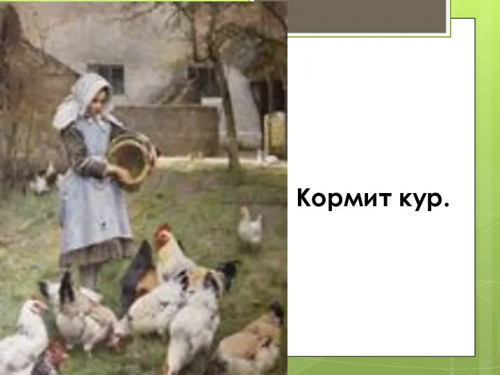 Кормит кур.