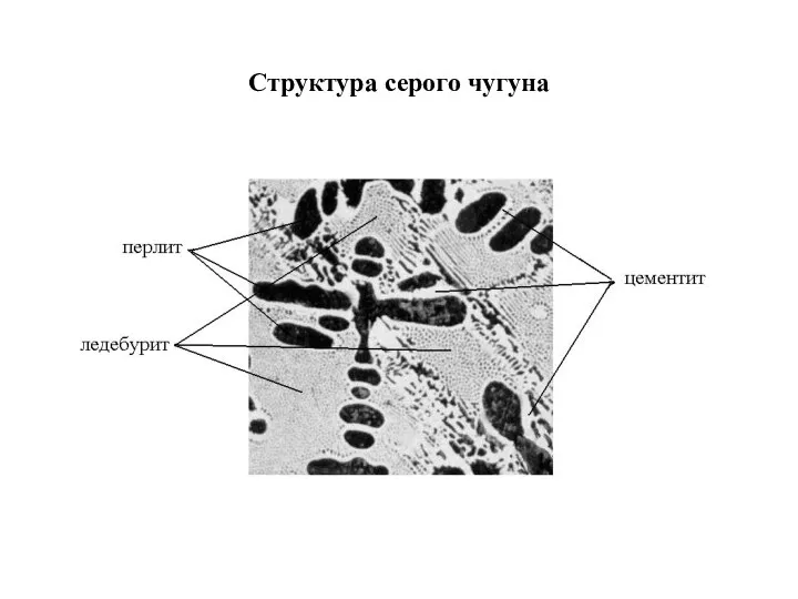 Структура серого чугуна