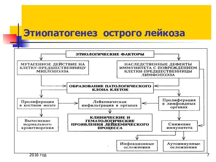 Этиопатогенез острого лейкоза 2016 год