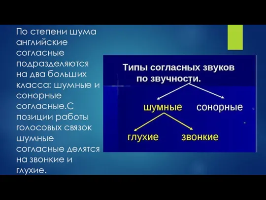 По степени шума английские согласные подразделяются на два больших класса: