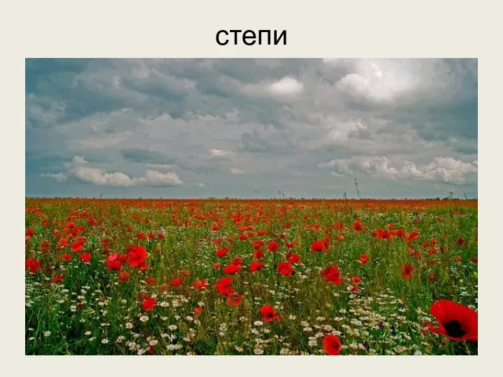 степи