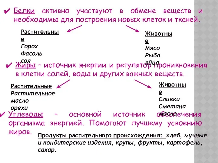 Углеводы – основной источник обеспечения организма энергией. Помогают лучшему усвоению