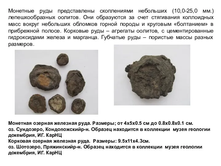 Монетные руды представлены скоплениями небольших (10,0-25,0 мм.)лепешкообразных оолитов. Они образуются