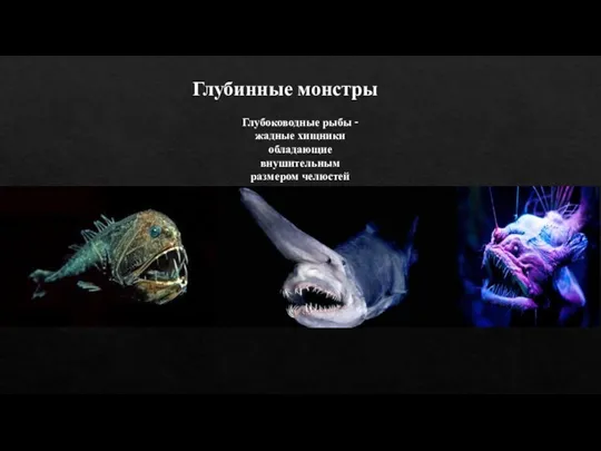 Глубинные монстры Глубоководные рыбы - жадные хищники обладающие внушительным размером челюстей