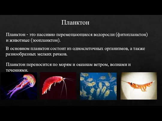 Планктон Планктон - это пассивно перемещающиеся водоросли (фитопланктон) и животные