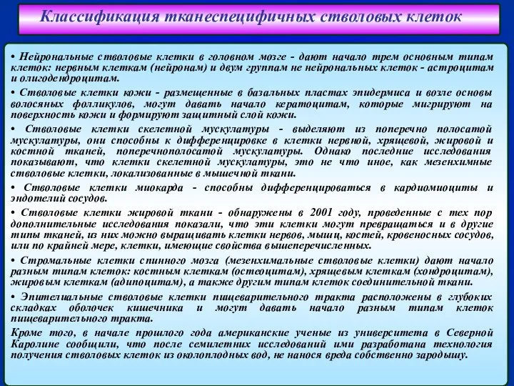 Классификация тканеспецифичных стволовых клеток • Нейрональные стволовые клетки в головном мозге - дают