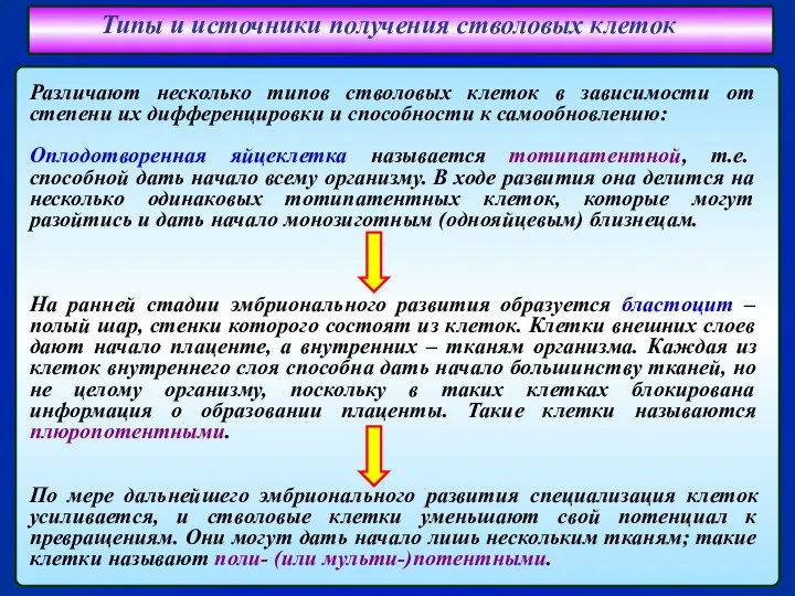 Типы и источники получения стволовых клеток Различают несколько типов стволовых клеток в зависимости