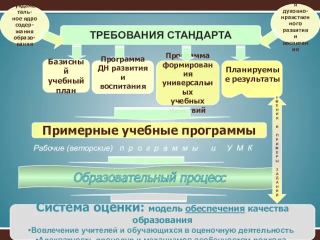 ТРЕБОВАНИЯ СТАНДАРТА Базисный учебный план Фундаменталь- ное ядро содер- жания