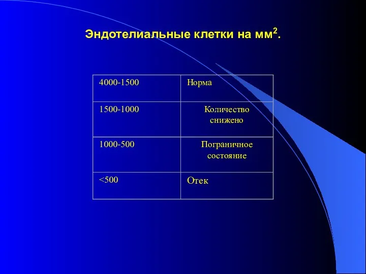 Эндотелиальные клетки на мм2.