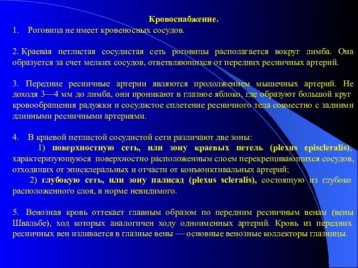 Кровоснабжение. 1. Роговица не имеет кровеносных сосудов. 2. Краевая петлистая