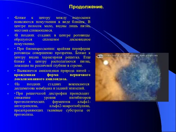 Продолжение. ∙Ближе к центру между полосками появляются помутнения в виде