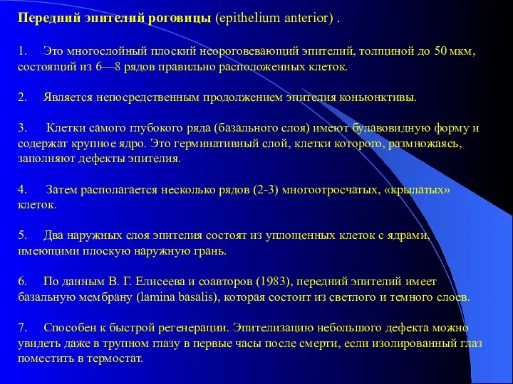 Передний эпителий роговицы (epithelium anterior) . 1. Это многослойный плоский