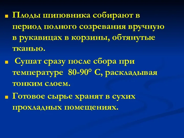 Плоды шиповника собирают в период полного созревания вручную в рукавицах