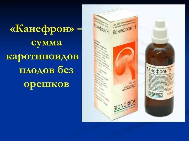 «Канефрон» – сумма каротиноидов с плодов без орешков