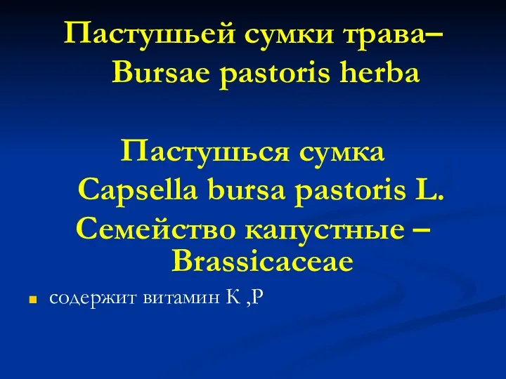 Пастушьей сумки трава– Bursae pastoris herba Пастушься сумка Capsella bursa