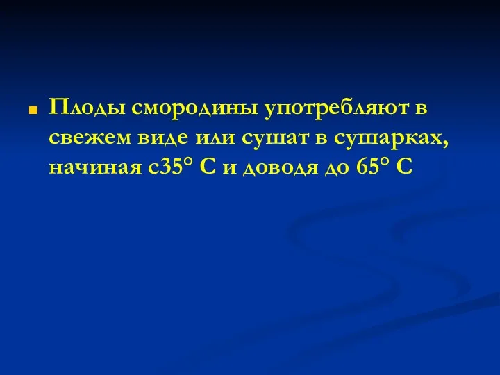 Плоды смородины употребляют в свежем виде или сушат в сушарках,