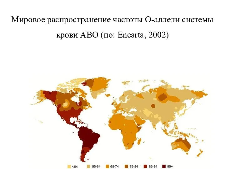 Мировое распространение частоты О-аллели системы крови АВО (по: Encarta, 2002)