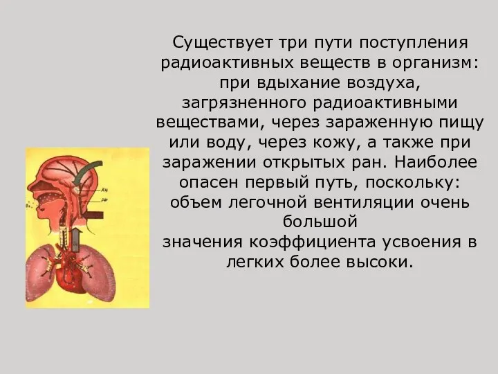 Существует три пути поступления радиоактивных веществ в организм: при вдыхание