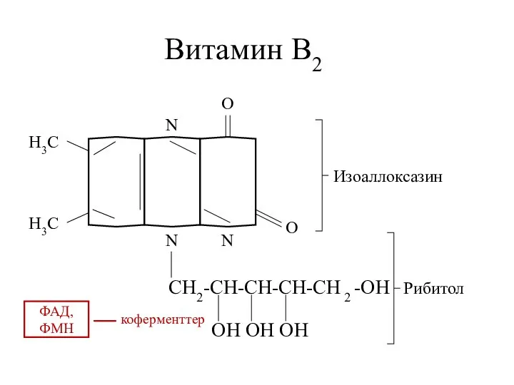 Витамин В2 О О N N N H3C H3C CH2-CH-CH-CH-CH