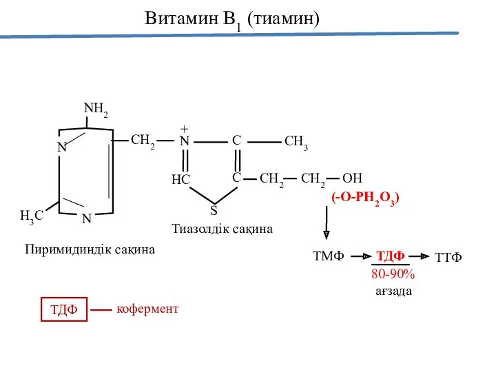 Н3С N NН2 СН2 Пиримидиндік сақина Витамин В1 (тиамин) N