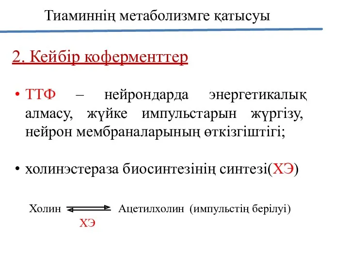 Тиаминнің метаболизмге қатысуы 2. Кейбір коферменттер ТТФ – нейрондарда энергетикалық