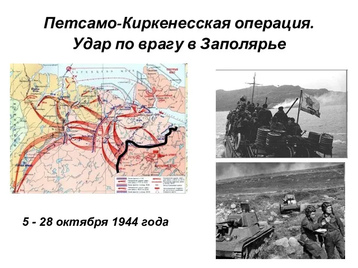 Петсамо-Киркенесская операция. Удар по врагу в Заполярье 5 - 28 октября 1944 года