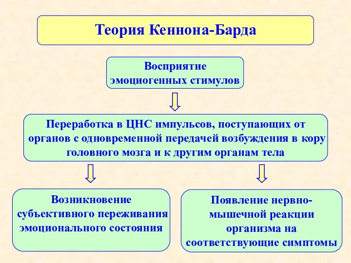 Теория Кеннона-Барда Возникновение субъективного переживания эмоционального состояния Восприятие эмоциогенных стимулов