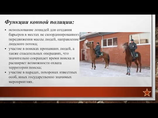 Функции конной полиции: использование лошадей для создания барьеров в местах